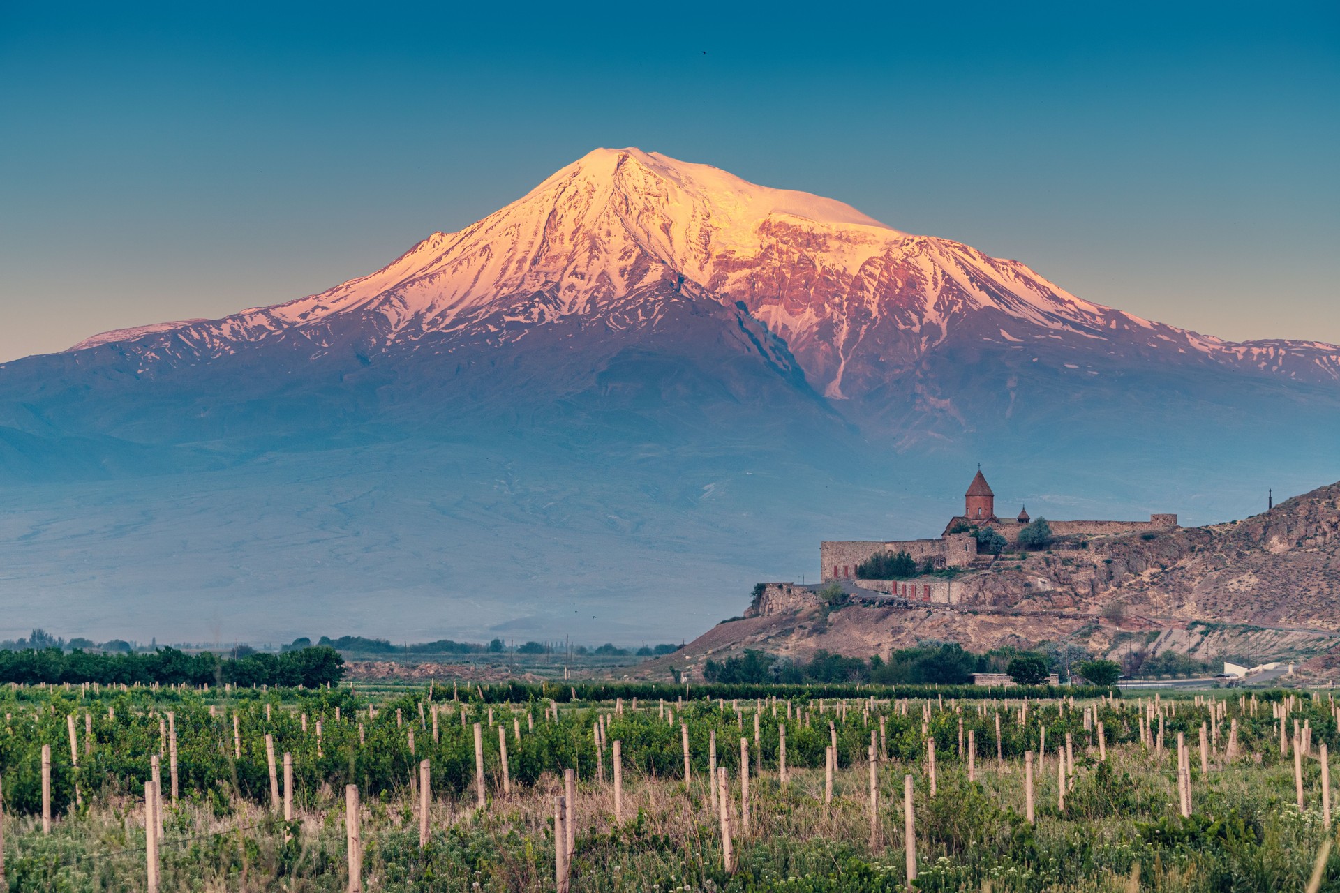 Vineyards on a fertile plain at the foot of Mount and volcano of Ararat and famous monastery of Khor Virap in the background at sunset