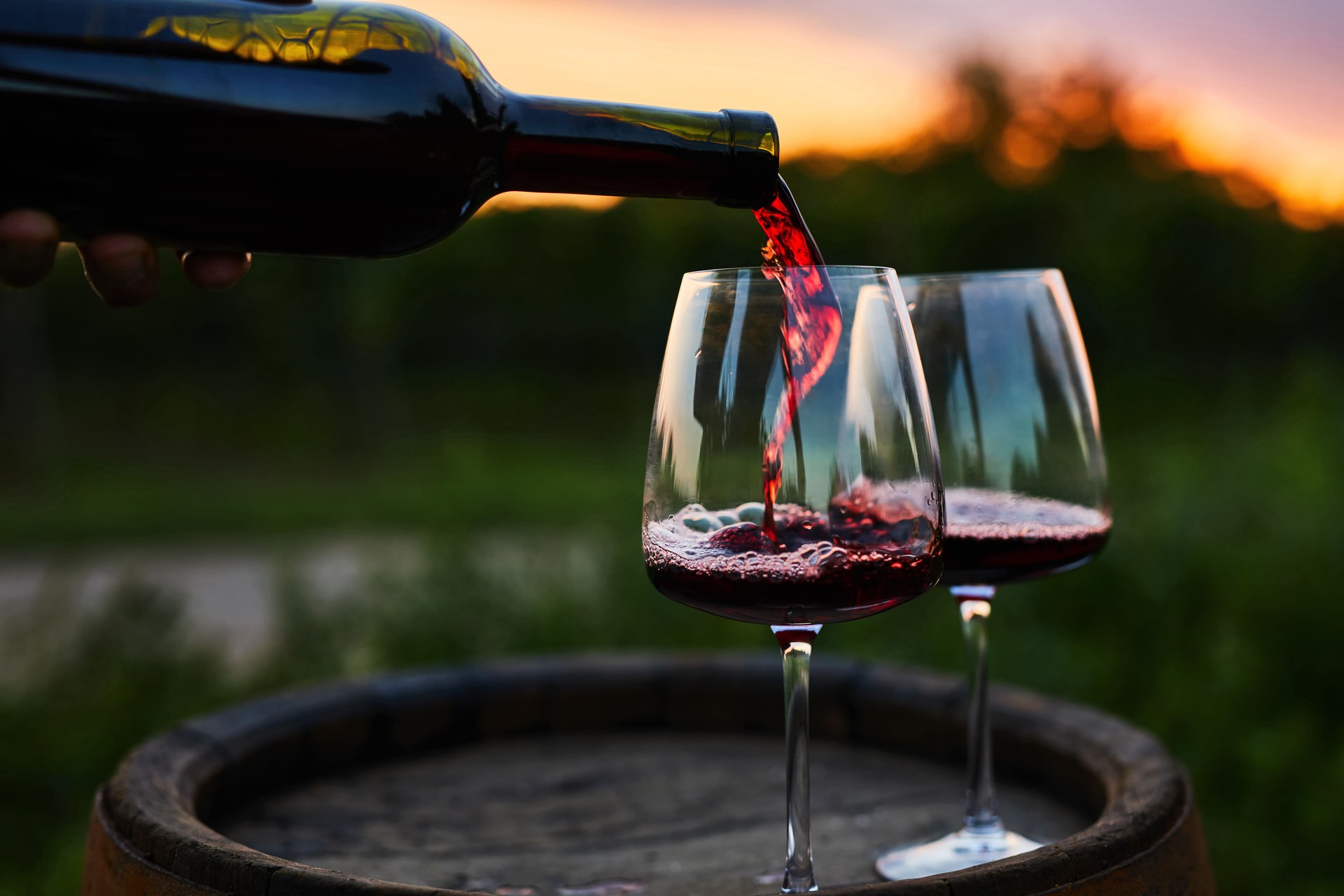 Pouring red wine into glasses on the barrel
