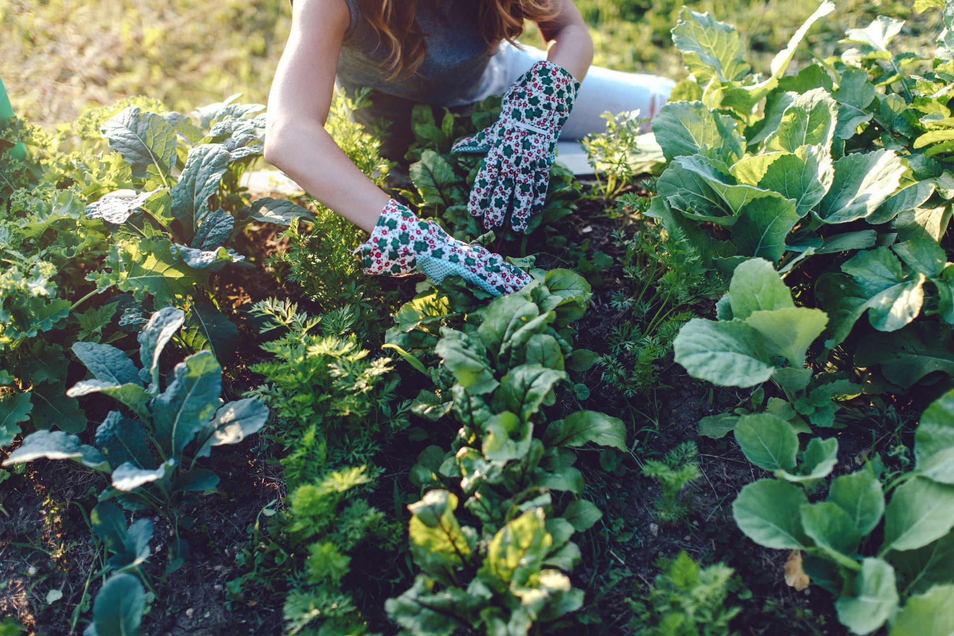 Woman working and taking care of the plants